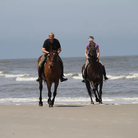 Marina 26 - Gigantischer Meerblick * Wangerooge