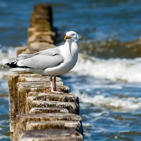 Marina 26 - Gigantischer Meerblick Apartamento *